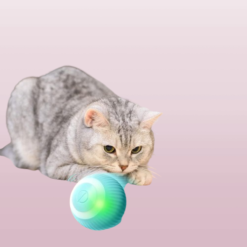 ***Katzenfreude*** – Der magische Powerball