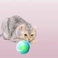 ***Katzenfreude*** – Der magische Powerball
